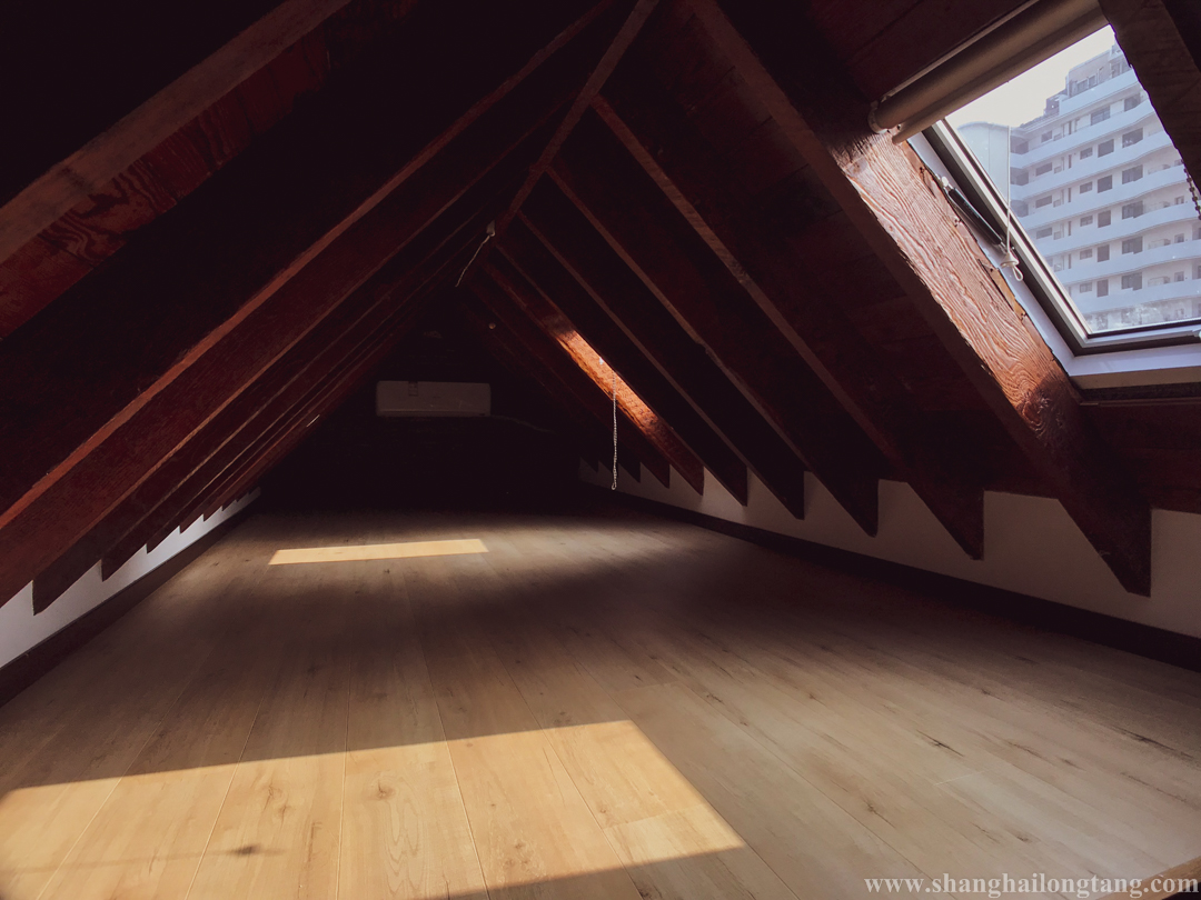 Newly Deco Terrace Attached 1 Br Sunroof Attic Unit In A Vintage